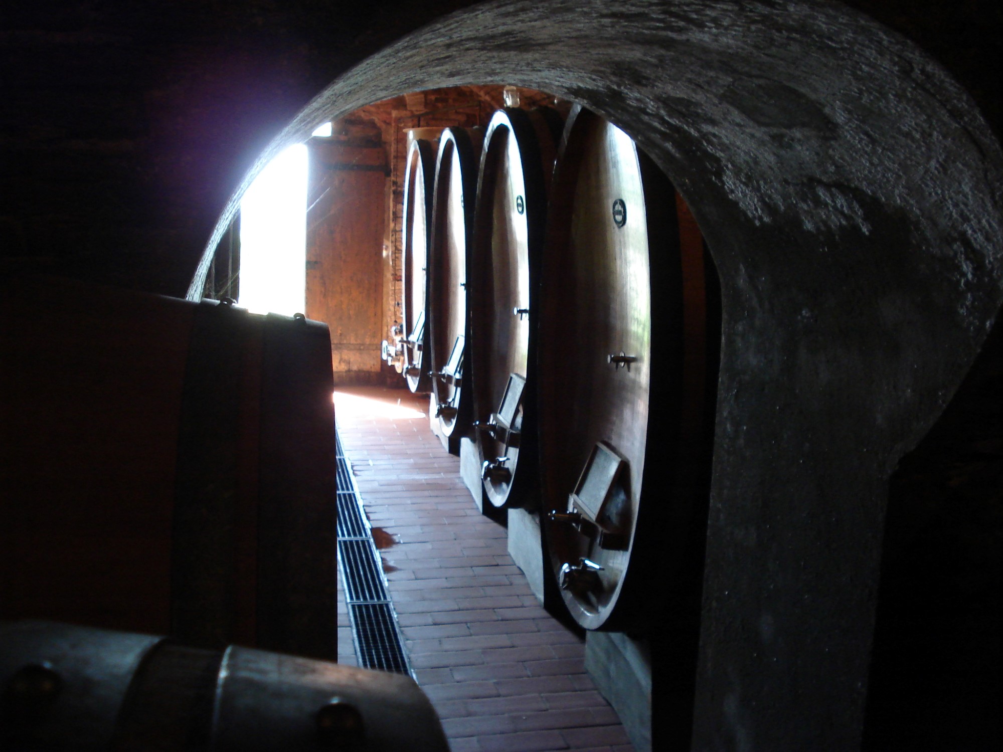 cellar